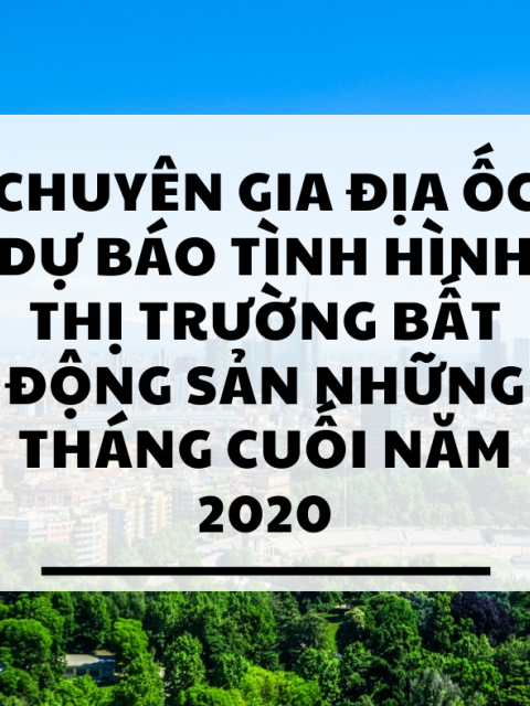 CHUYÊN GIA ĐỊA ỐC DỰ BÁO TÌNH HÌNH THỊ TRƯỜNG BẤT ĐỘNG SẢN NHỮNG THÁNG CUỐI NĂM 2020