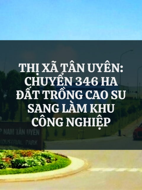 THỊ XÃ TÂN UYÊN CHUYỂN ĐẤT TRỒNG CÂY CAO SU THÀNH KCN