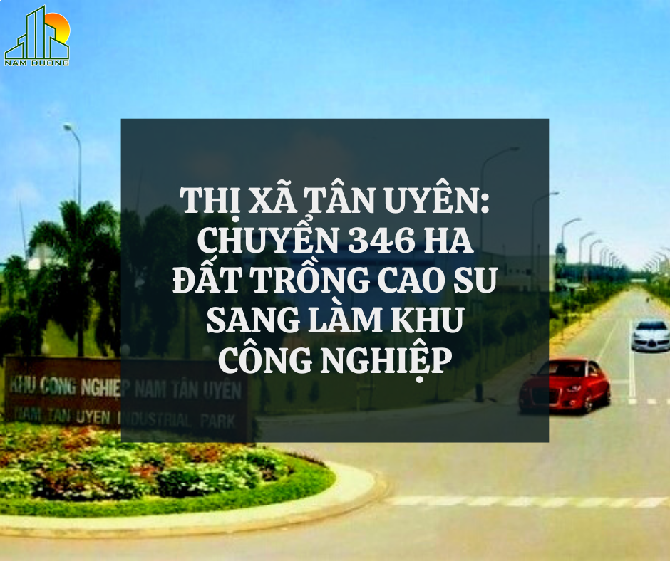 THỊ XÃ TÂN UYÊN CHUYỂN ĐẤT TRỒNG CÂY CAO SU THÀNH KCN
